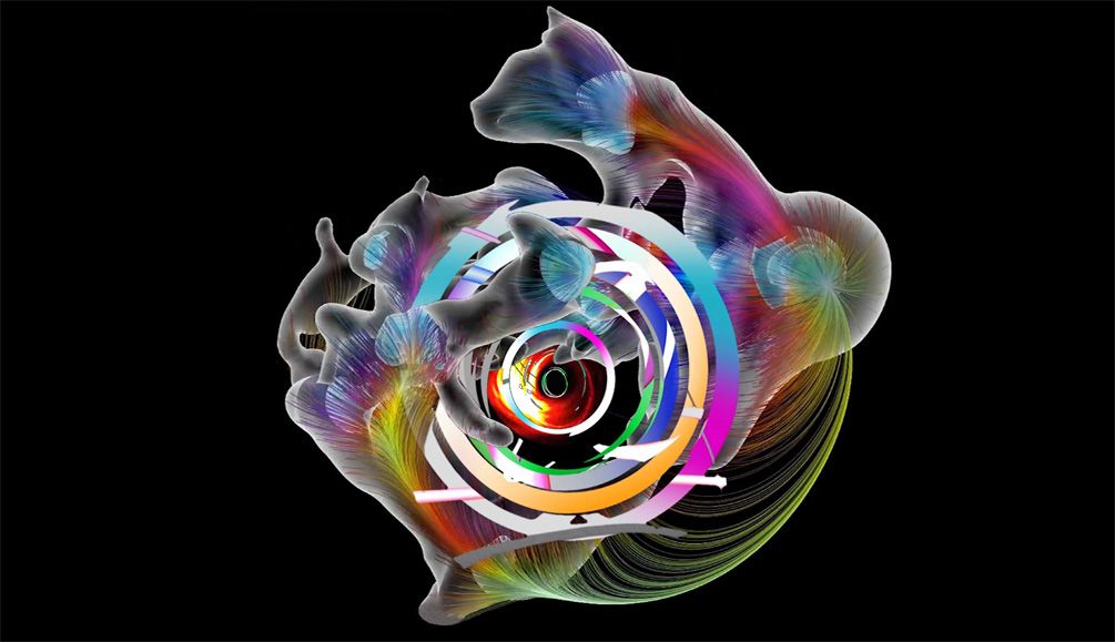 Atelier Rang – Lichtchoreographien